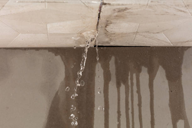 Professional Structural Drying technician working in Carmine, TX